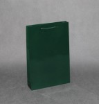 TORBA PAPIEROWA zielona połysk, 24x7x36cm